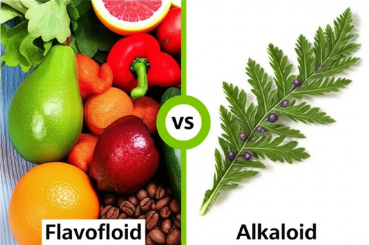 Flavonoids vs. Alkaloids - New Discovery For Vein Health